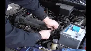 Sostituzione guarnizione punterie e bobine  Fiat punto (176)