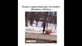Я единственный, кто может обновить таблицы в офисе #excel  #юмор  #шутки #memes #мемы #прикол