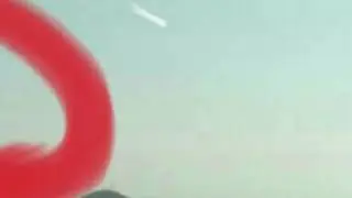 Непонятные существа снятые на камеру