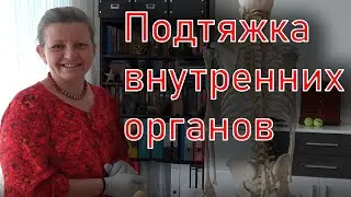 Подтяжка внутренних органов с помощью БЭМ Fohow