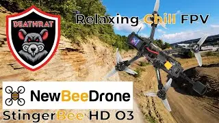 NewBeeDrone STINGERBEE HD O3 - 4K60 Color graded Gyroflow footage - Test Flight 1