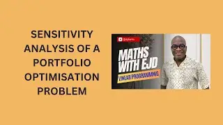 25. Sensitivity Analysis of a Portfolio Optimisation Problem