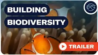 Trailer - Building biodiversity