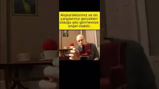 ALIŞKANLIKLARIMIZ VE ÖNYARGILARIMIZ  
