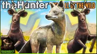 THESE ARE SO RARE! Diamond Side Striped Jackal & Diamond TRURACS Kudu! Call of the wild