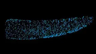 Facts: The Pyrosome