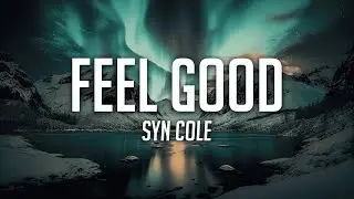 Syn Cole - Feel Good [Lyrics] | Future House | NCS Release