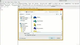 Installing Python on Windows Device