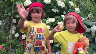 Учим стих "Всё в порядке" Э.Успенский