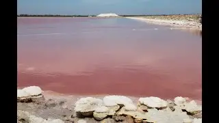 Bureau des Guides Naturalistes : Le salin de Giraud en Camargue