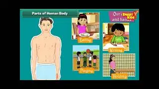 Exploring the Human Body Parts | Organs, Senses & Organ System | How They Works | Fun & Learn