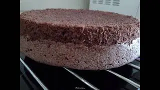 Бисквит _ шоколадный