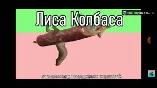 Валера нашёл родственников мышки сосиски