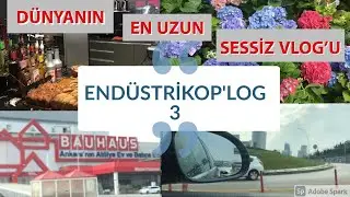 Dünyanın en uzun Sessiz Vlogu | BAUHAUS, Fırın, Sera Turu
