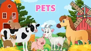 Learn About Pet Sounds and Names for Kids. Educational videos for kids