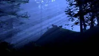 Oscillist - Thrown To The Wolves