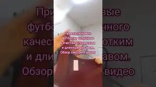 22 сентября 2023 г.