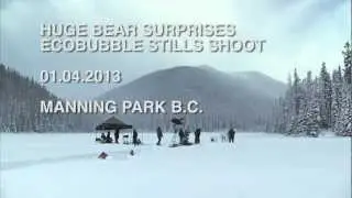 Huge Bear attack !