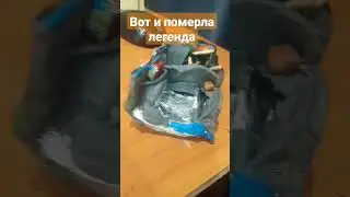 жалко было