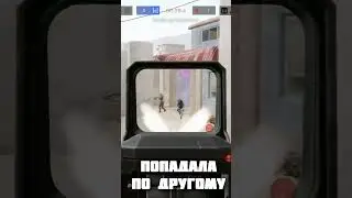 подставил чела) #youtubeshorts #trend #warzone