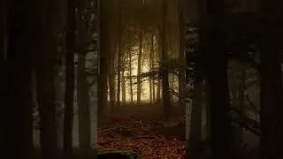 Подписывайся, чтобы не пропустить новые страшные и мистические истории. Больше историй на канале