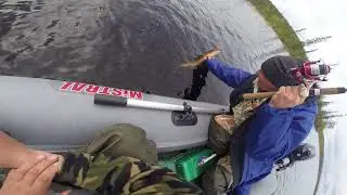 Щуку в июне на спиннинг 1