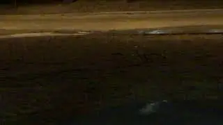 Water sprinkler drops SICK beat