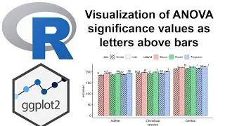 I - Compact Letter Display (CLD) One-Way ANOVA and CLD Visualization with R and ggplot2