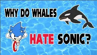 Why do Whales Hate Sonic?