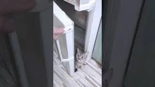 ЗиЛ