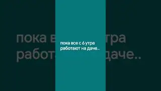 пока все с 6 утра работают на даче 