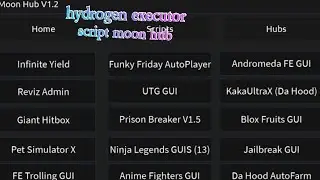 hydrogen executor script moon hub go to pin comment to try the script enjoy