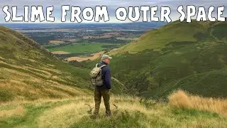 Blackford to Tillicoultry in the Ochil Hills