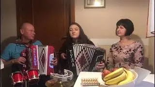 А журавлі летять, за ними лебеді!