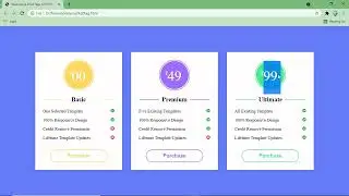 Responsive Price Tag With Html And CSS||Source Code||Coder