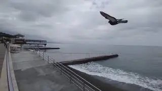 Алушта (Крым)
