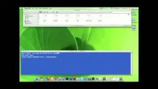 CHMOD Tutorial with Example and Description