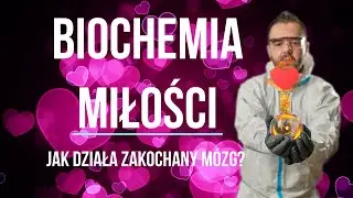 Biochemia miłości. Jak działa zakochany mózg? Zakochanie z punktu widzenia biologii molekularnej.