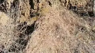 ПОЕЗДКА НА ВОСТОКЕ ПО РЕКЕ ОКЕ