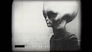 Skinny Bob Enhanced 60FPS