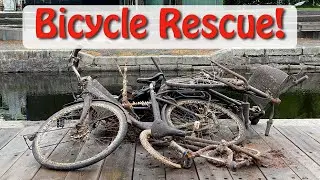 Bicycle Rescue: A new series!