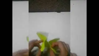 how to make an orgami butterfly...?