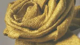 The Rosette - Teaser
