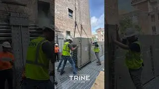 Short Trine HOB Crane Day