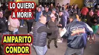 *** LO QUIERO A MORIR, AMPARITO CONDOR ***