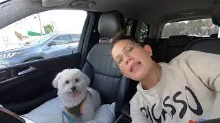 BACK AT THE VET