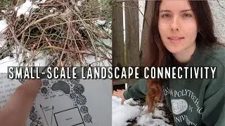 Improve Wildlife Movement in Your Backyard 🦝