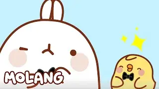 🩵✨ Best Moments of Season 1 🌟 Molang | Cartoons for Kids