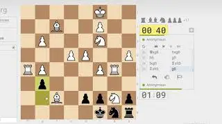 Chess cheese