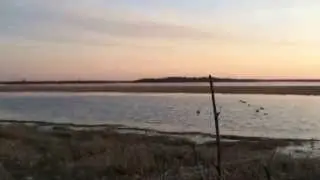Охота. Май 2015.